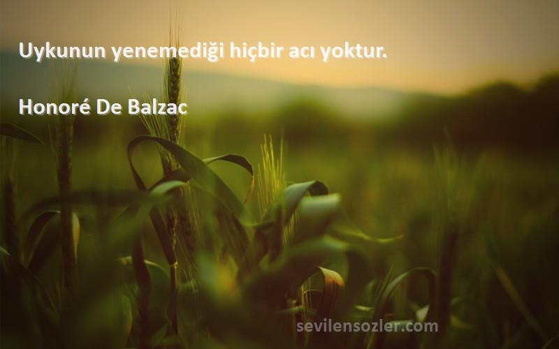 Honoré De Balzac Sözleri 
Uykunun yenemediği hiçbir acı yoktur.