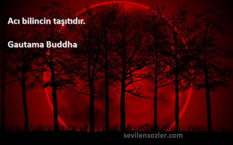 Gautama Buddha Sözleri 
Acı bilincin taşıtıdır.