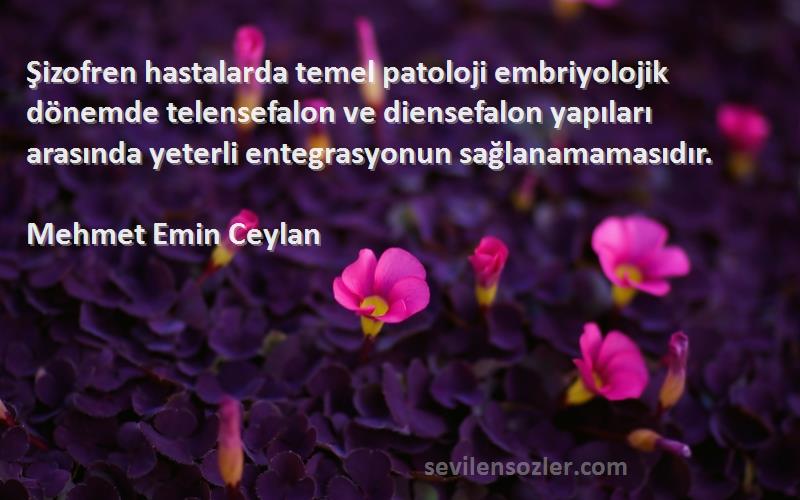 Mehmet Emin Ceylan Sözleri 
Şizofren hastalarda temel patoloji embriyolojik dönemde telensefalon ve diensefalon yapıları arasında yeterli entegrasyonun sağlanamamasıdır.