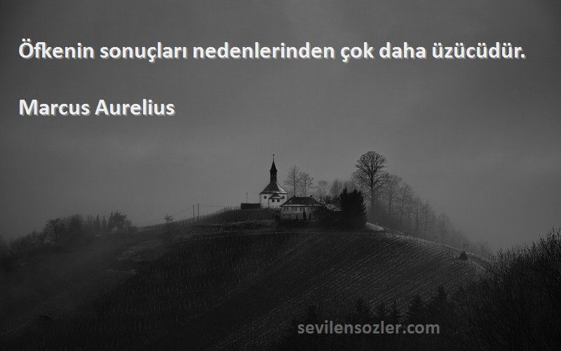Marcus Aurelius Sözleri 
Öfkenin sonuçları nedenlerinden çok daha üzücüdür.