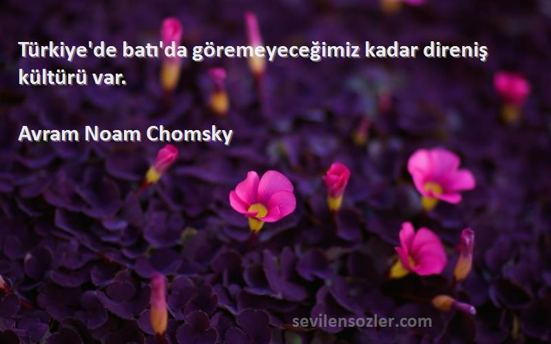 Avram Noam Chomsky Sözleri 
Türkiye'de batı'da göremeyeceğimiz kadar direniş kültürü var.