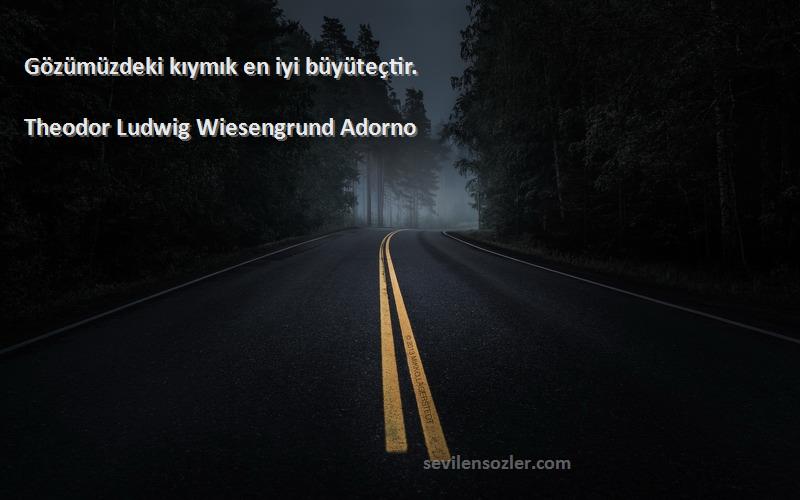 Theodor Ludwig Wiesengrund Adorno Sözleri 
Gözümüzdeki kıymık en iyi büyüteçtir.