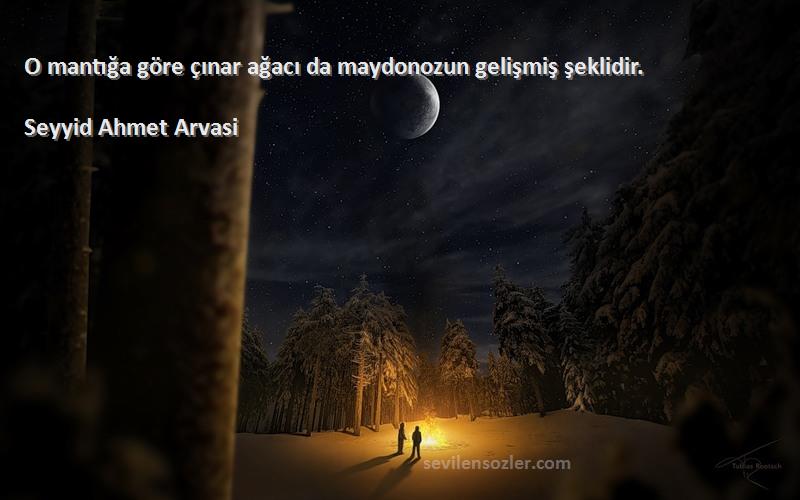 Seyyid Ahmet Arvasi Sözleri 
O mantığa göre çınar ağacı da maydonozun gelişmiş şeklidir.