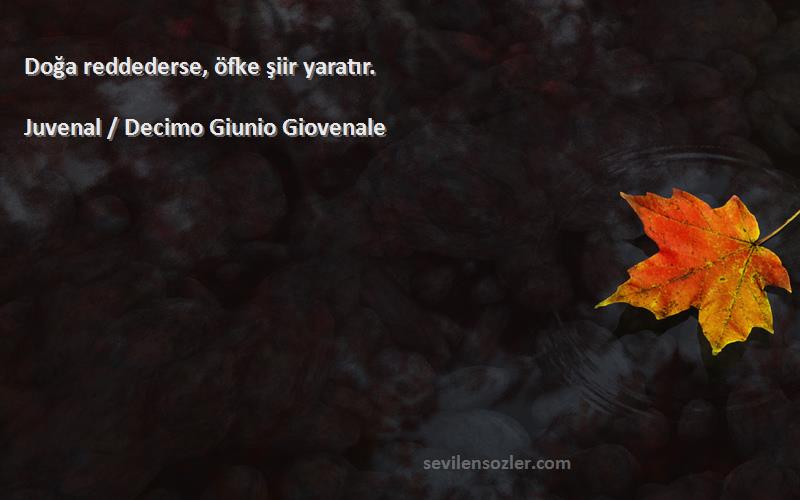 Juvenal / Decimo Giunio Giovenale Sözleri 
Doğa reddederse, öfke şiir yaratır.