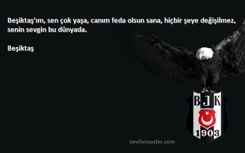 Beşiktaş Sözleri 
Beşiktaş’ım, sen çok yaşa, canım feda olsun sana, hiçbir şeye değişilmez, senin sevgin bu dünyada.