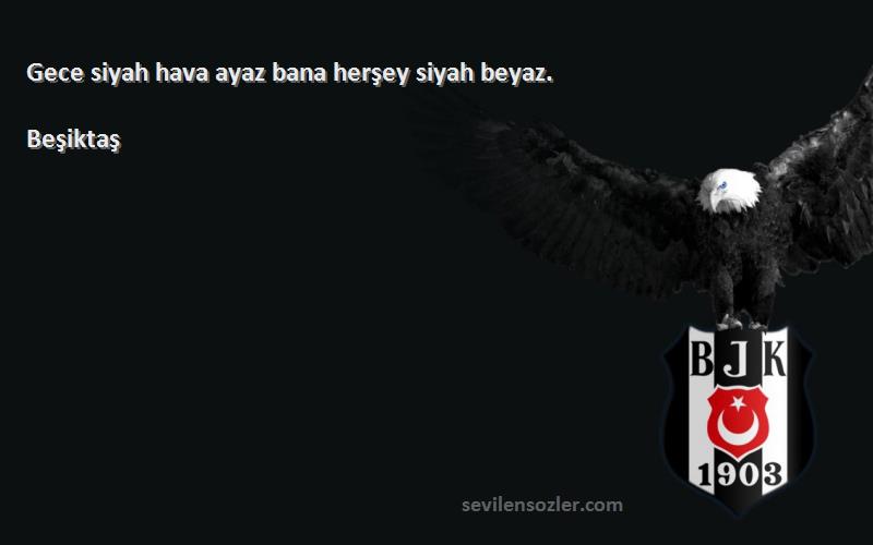 Beşiktaş Sözleri 
Gece siyah hava ayaz bana herşey siyah beyaz.