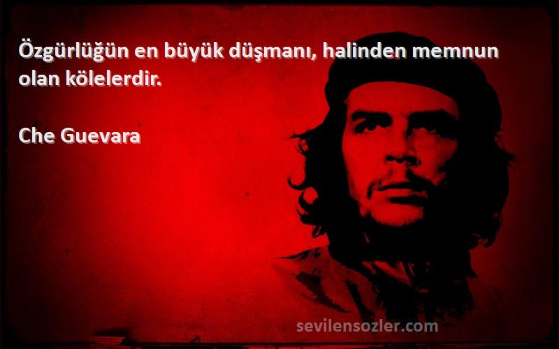 Che Guevara Sözleri 
Özgürlüğün en büyük düşmanı, halinden memnun olan kölelerdir.