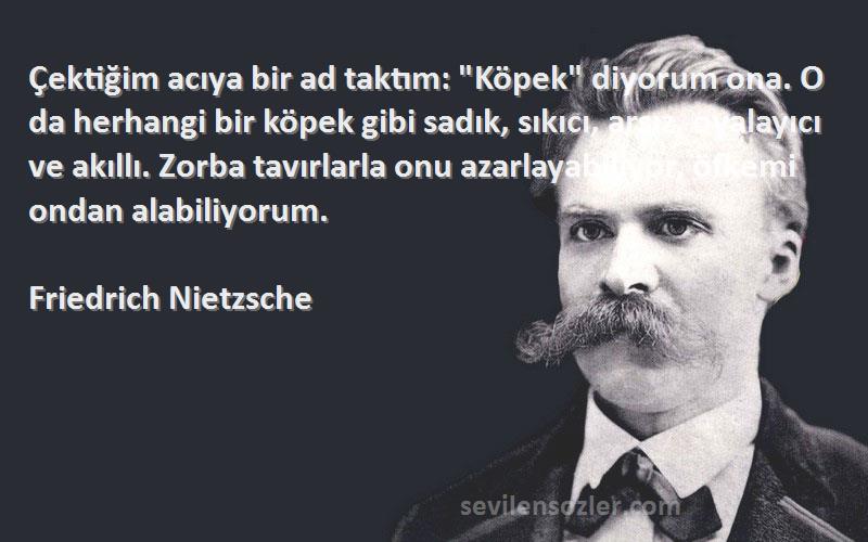Friedrich Nietzsche Sözleri 
Çektiğim acıya bir ad taktım: Köpek diyorum ona. O da herhangi bir köpek gibi sadık, sıkıcı, arsız, oyalayıcı ve akıllı. Zorba tavırlarla onu azarlayabiliyor, öfkemi ondan alabiliyorum.

