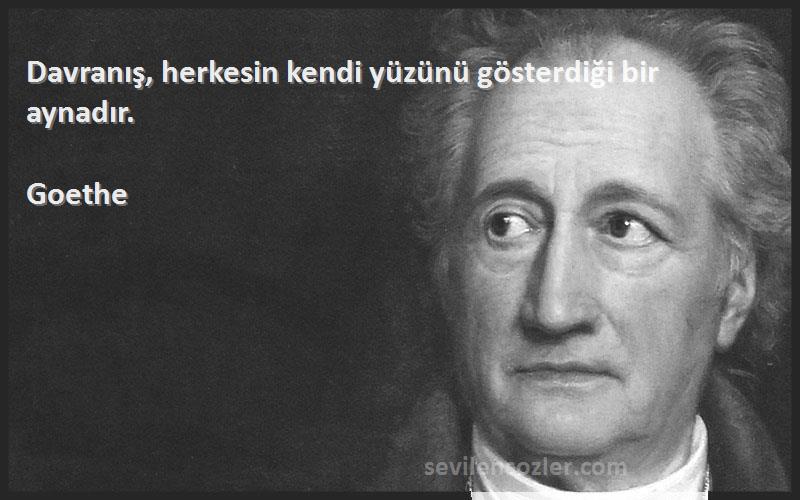 Goethe Sözleri 
Davranış, herkesin kendi yüzünü gösterdiği bir aynadır.
