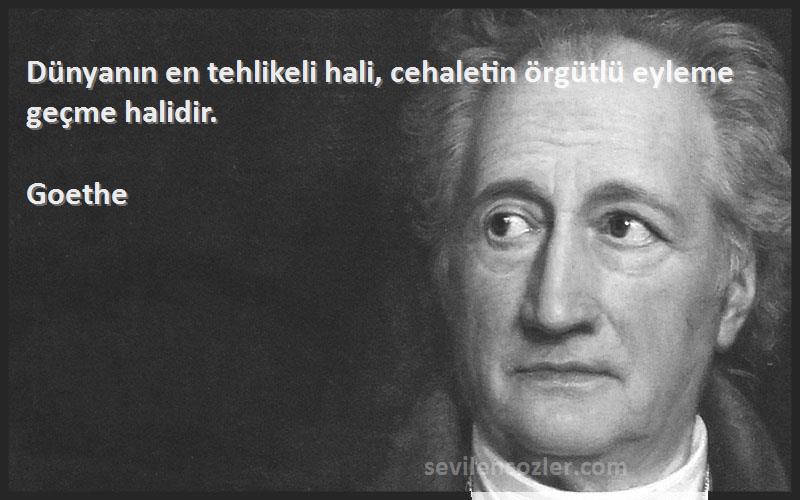 Goethe Sözleri 
Dünyanın en tehlikeli hali, cehaletin örgütlü eyleme geçme halidir.
