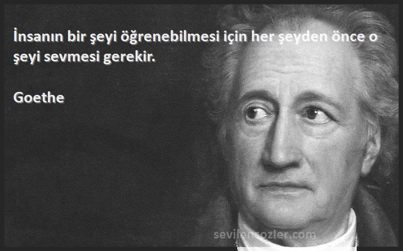 Goethe Sözleri 
İnsanın bir şeyi öğrenebilmesi için her şeyden önce o şeyi sevmesi gerekir.
