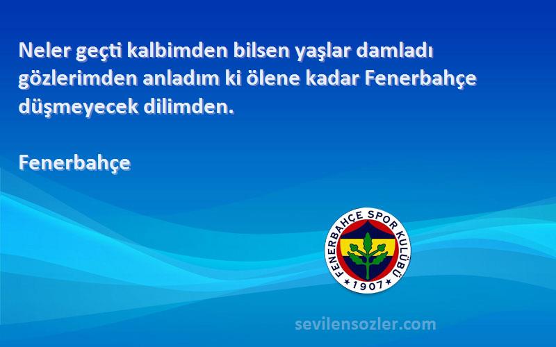 Fenerbahçe Sözleri 
Neler geçti kalbimden bilsen yaşlar damladı gözlerimden anladım ki ölene kadar Fenerbahçe düşmeyecek dilimden.
