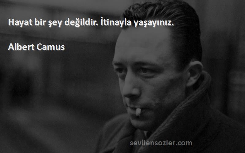 Albert Camus Sözleri 
Hayat bir şey değildir. İtinayla yaşayınız.