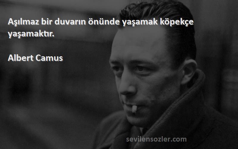 Albert Camus Sözleri 
Aşılmaz bir duvarın önünde yaşamak köpekçe yaşamaktır.