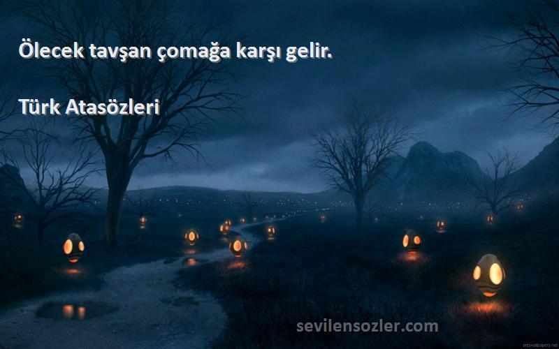 Türk Atasözleri - Ölecek tavşan çomağa karşı gelir.