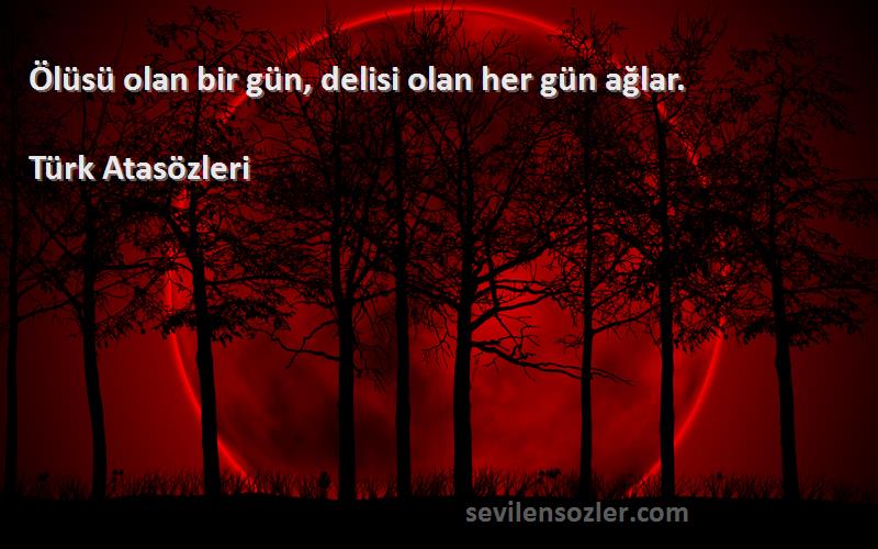 Türk Atasözleri - Ölüsü olan bir gün, delisi olan her gün ağlar.