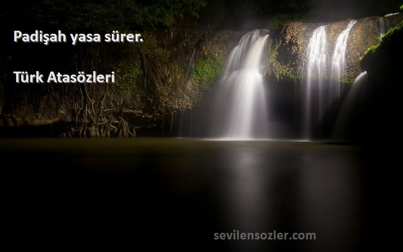 Türk Atasözleri - Padişah yasa sürer.