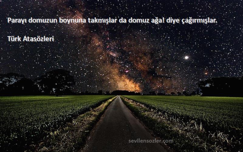 Türk Atasözleri - Parayı domuzun boynuna takmışlar da domuz ağa! diye çağırmışlar.