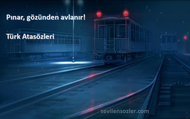 Türk Atasözleri - Pınar, gözünden avlanır!