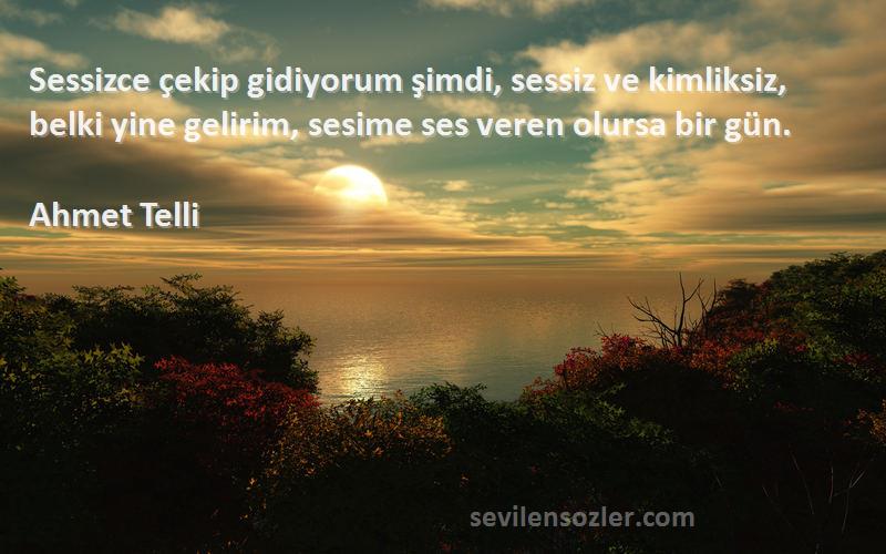 Ahmet Telli Sözleri 
Sessizce çekip gidiyorum şimdi, sessiz ve kimliksiz, belki yine gelirim, sesime ses veren olursa bir gün.