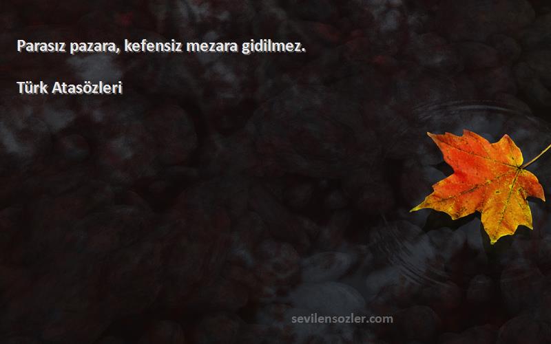 Türk Atasözleri - Parasız pazara, kefensiz mezara gidilmez.