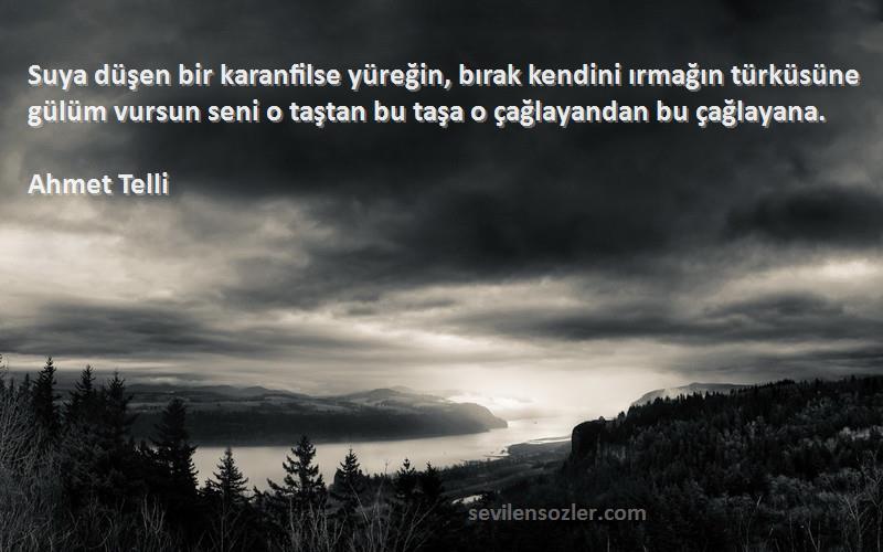 Ahmet Telli Sözleri 
Suya düşen bir karanfilse yüreğin, bırak kendini ırmağın türküsüne gülüm vursun seni o taştan bu taşa o çağlayandan bu çağlayana.