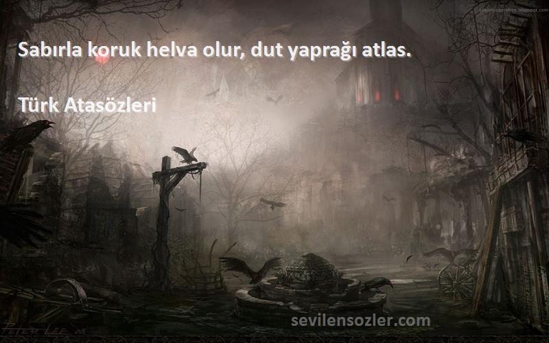 Türk Atasözleri Sözleri 
Sabırla koruk helva olur, dut yaprağı atlas.