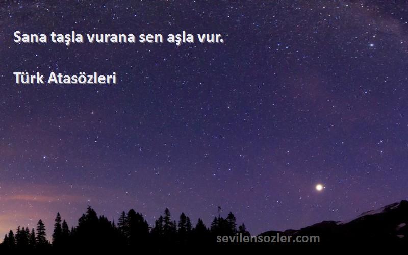 Türk Atasözleri - Sana taşla vurana sen aşla vur.