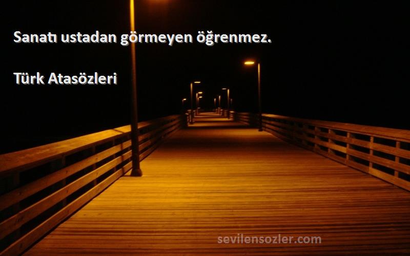 Türk Atasözleri - Sanatı ustadan görmeyen öğrenmez.