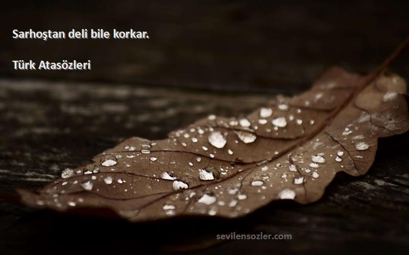 Türk Atasözleri - Sarhoştan deli bile korkar.