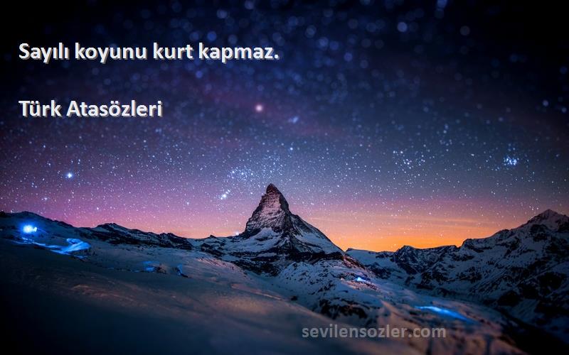 Türk Atasözleri - Sayılı koyunu kurt kapmaz.