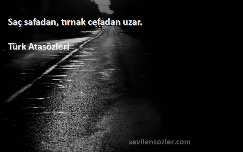 Türk Atasözleri - Saç safadan, tırnak cefadan uzar.