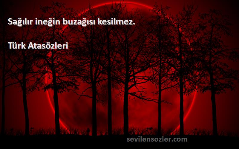 Türk Atasözleri - Sağılır ineğin buzağısı kesilmez.