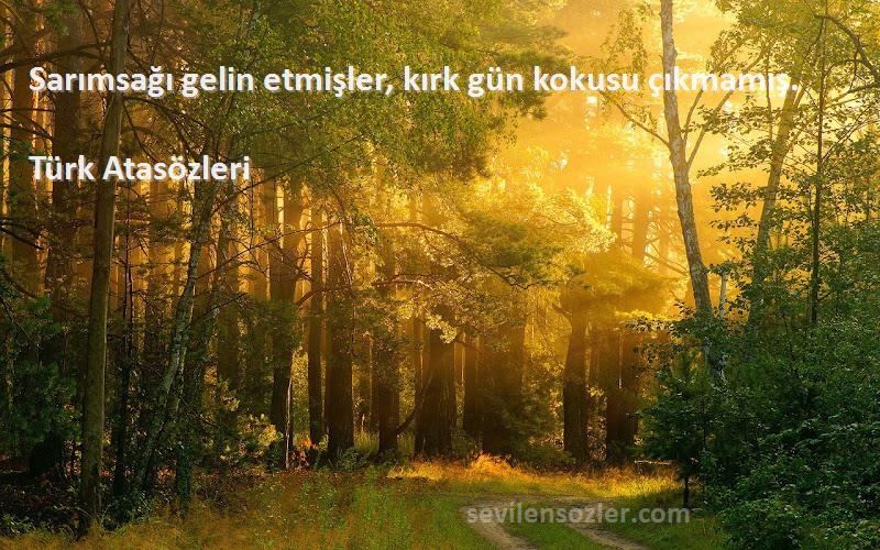 Türk Atasözleri - Sarımsağı gelin etmişler, kırk gün kokusu çıkmamış.