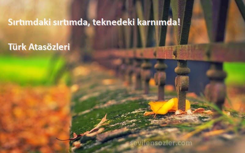 Türk Atasözleri - Sırtımdaki sırtımda, teknedeki karnımda!