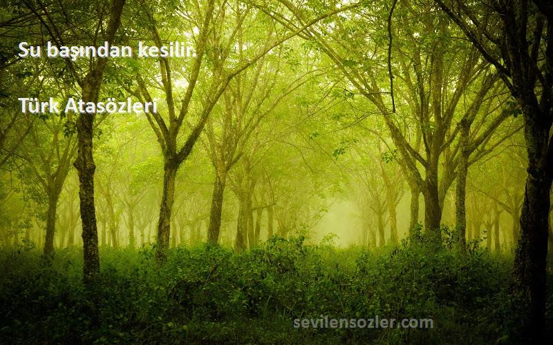 Türk Atasözleri - Su başından kesilir.