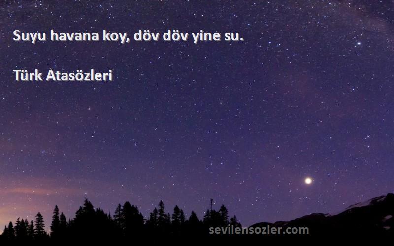 Türk Atasözleri - Suyu havana koy, döv döv yine su.