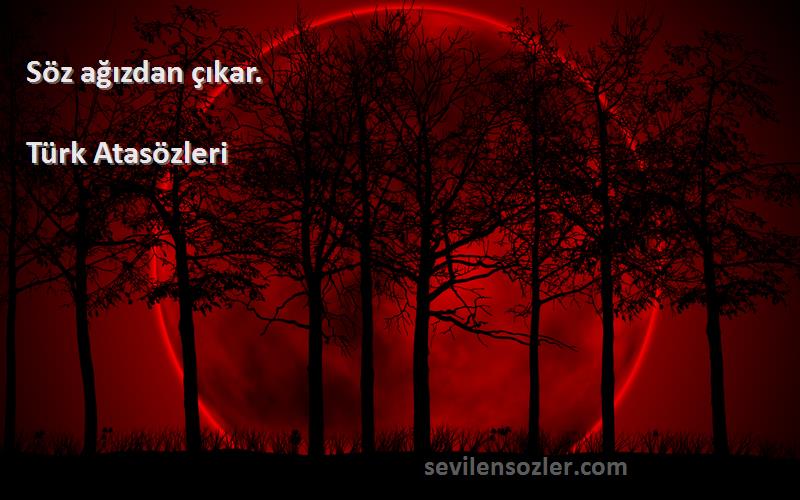 Türk Atasözleri - Söz ağızdan çıkar.