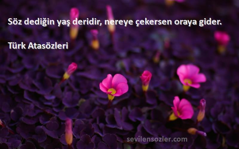 Türk Atasözleri - Söz dediğin yaş deridir, nereye çekersen oraya gider.