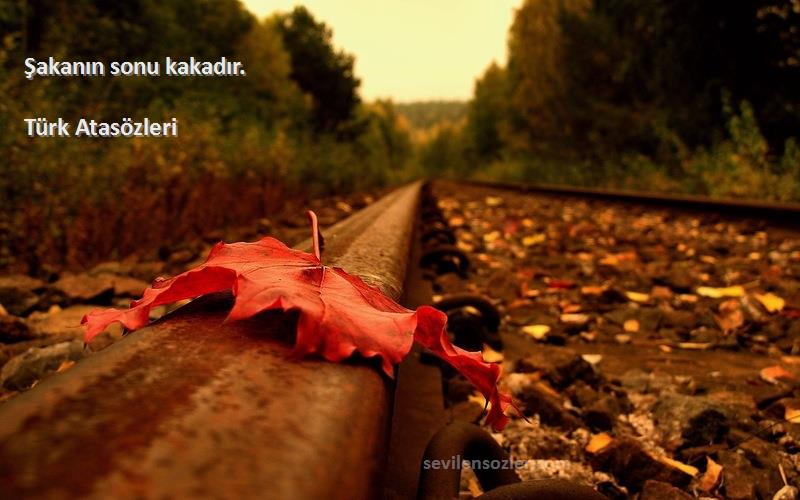 Türk Atasözleri - Şakanın sonu kakadır.