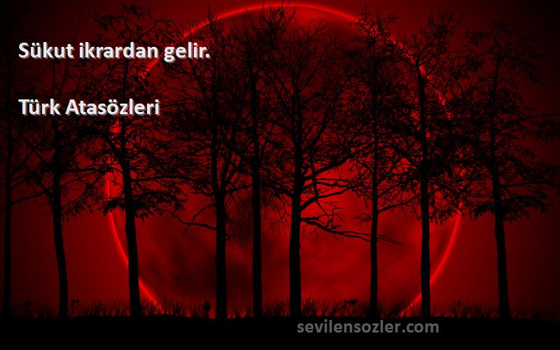 Türk Atasözleri - Sükut ikrardan gelir.