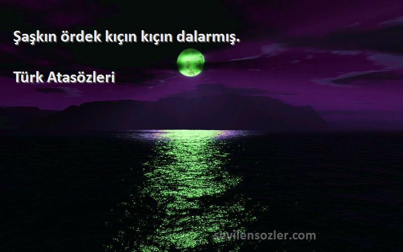 Türk Atasözleri - Şaşkın ördek kıçın kıçın dalarmış.