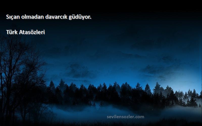 Türk Atasözleri - Sıçan olmadan davarcık güdüyor.