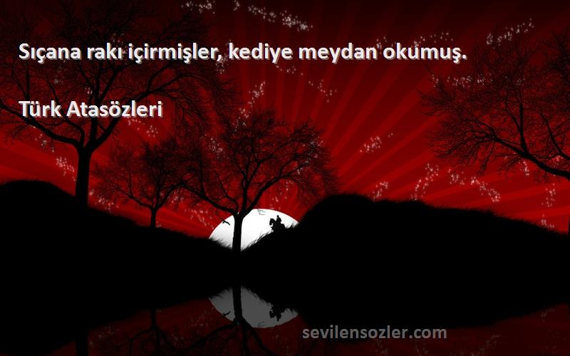 Türk Atasözleri - Sıçana rakı içirmişler, kediye meydan okumuş.