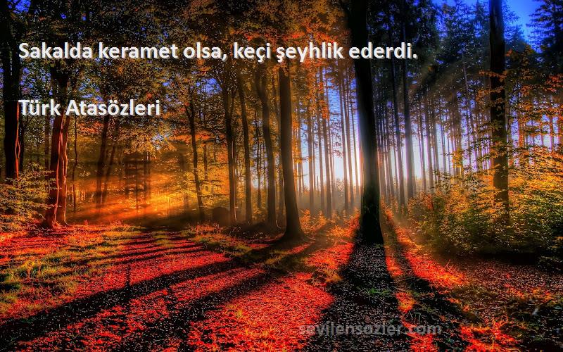 Türk Atasözleri - Sakalda keramet olsa, keçi şeyhlik ederdi.