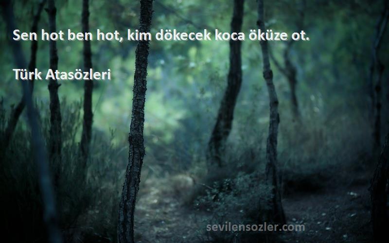 Türk Atasözleri - Sen hot ben hot, kim dökecek koca öküze ot.
