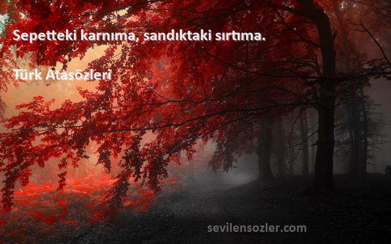 Türk Atasözleri - Sepetteki karnıma, sandıktaki sırtıma.