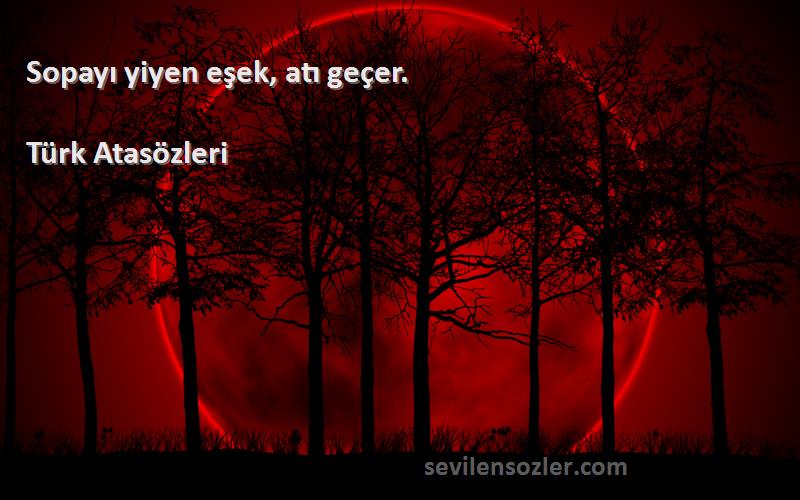 Türk Atasözleri - Sopayı yiyen eşek, atı geçer.