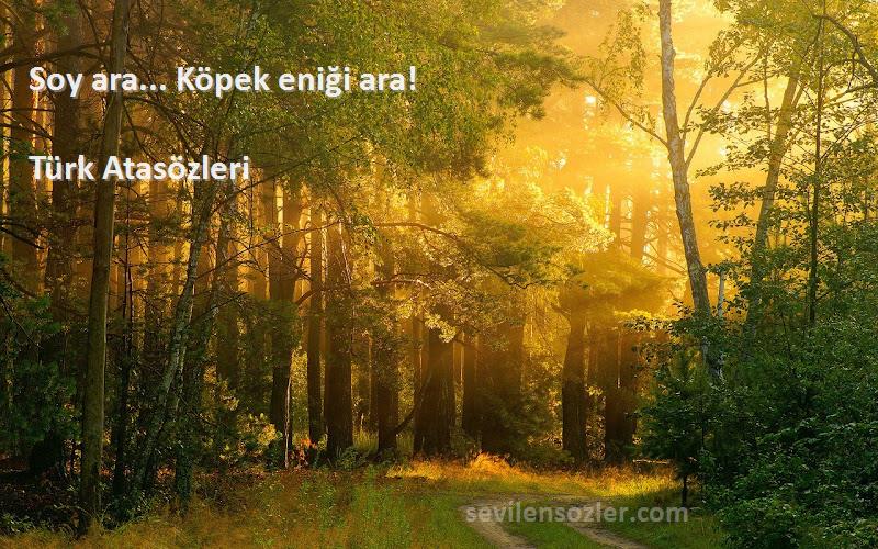 Türk Atasözleri - Soy ara... Köpek eniği ara!