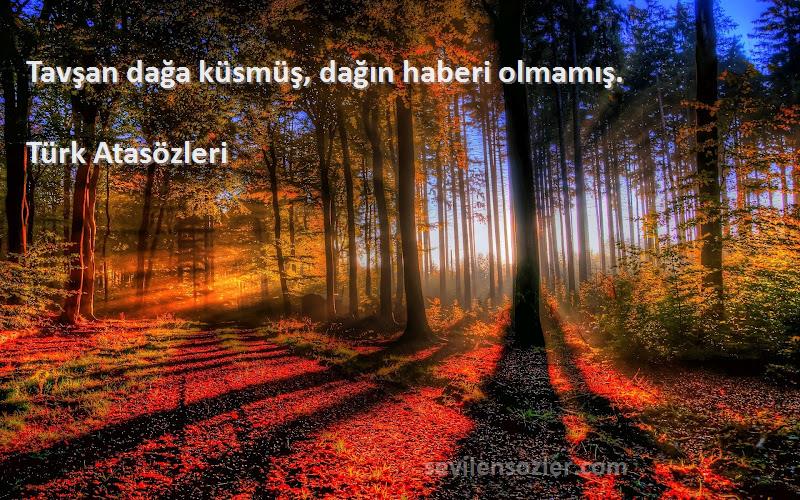 Türk Atasözleri Sözleri 
Tavşan dağa küsmüş, dağın haberi olmamış.